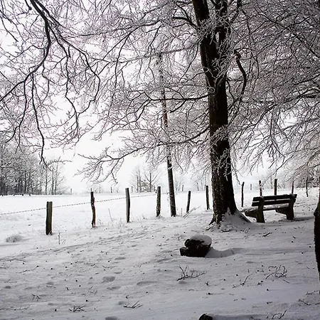 מלון Landgasthof Hof Roscheid