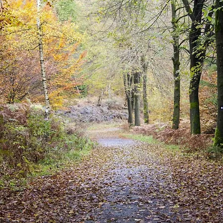 Landgasthof Hof Roscheid 2* אטנדורן
