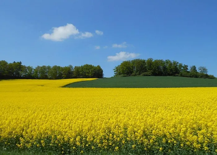 Hotel Landgasthof Hof Roscheid Attendorn