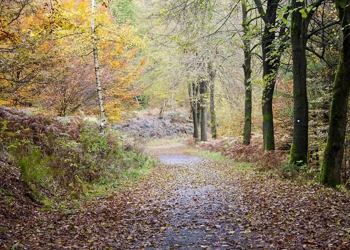 Landgasthof Hof Roscheid 2* Attendorn